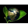 Earthing - Mise à la terre